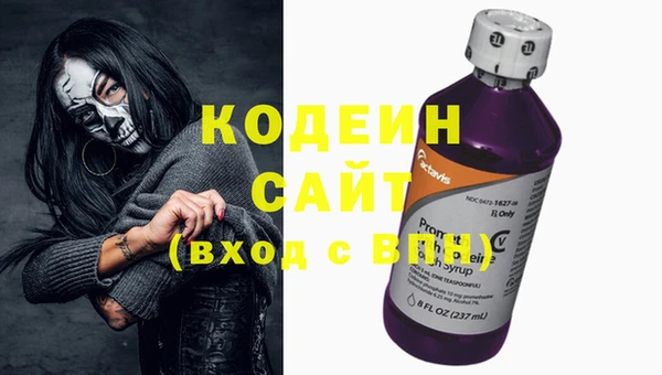 стаф Киренск