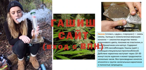 стаф Киренск