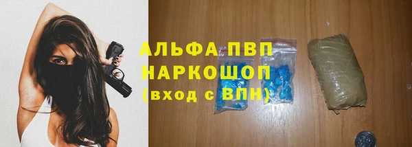 стаф Киренск