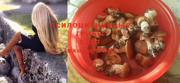 мяу мяу мука Карпинск