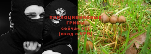 мяу мяу мука Карпинск