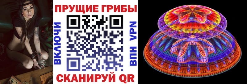 Псилоцибиновые грибы GOLDEN TEACHER  кракен зеркало  Лосино-Петровский  наркота 
